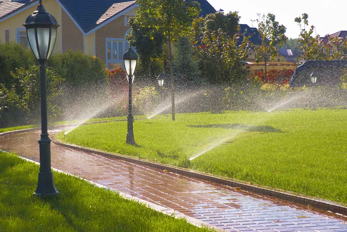 Irrigation System Installation in Nokesville example 1