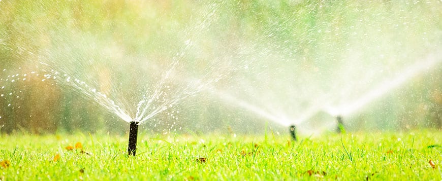 Irrigation System Installation in Nokesville example 6