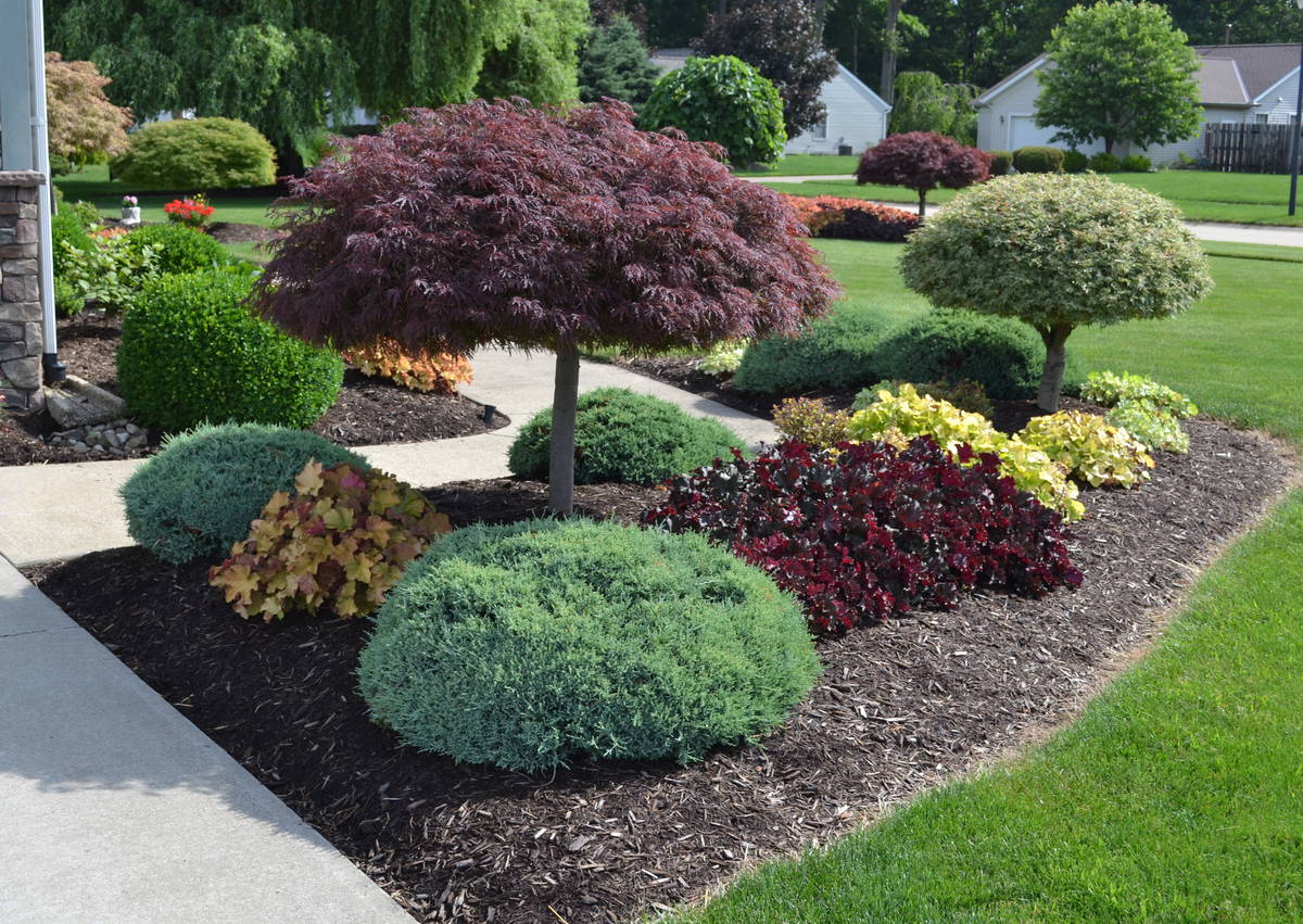 Landscape Design in Nokesville example 7