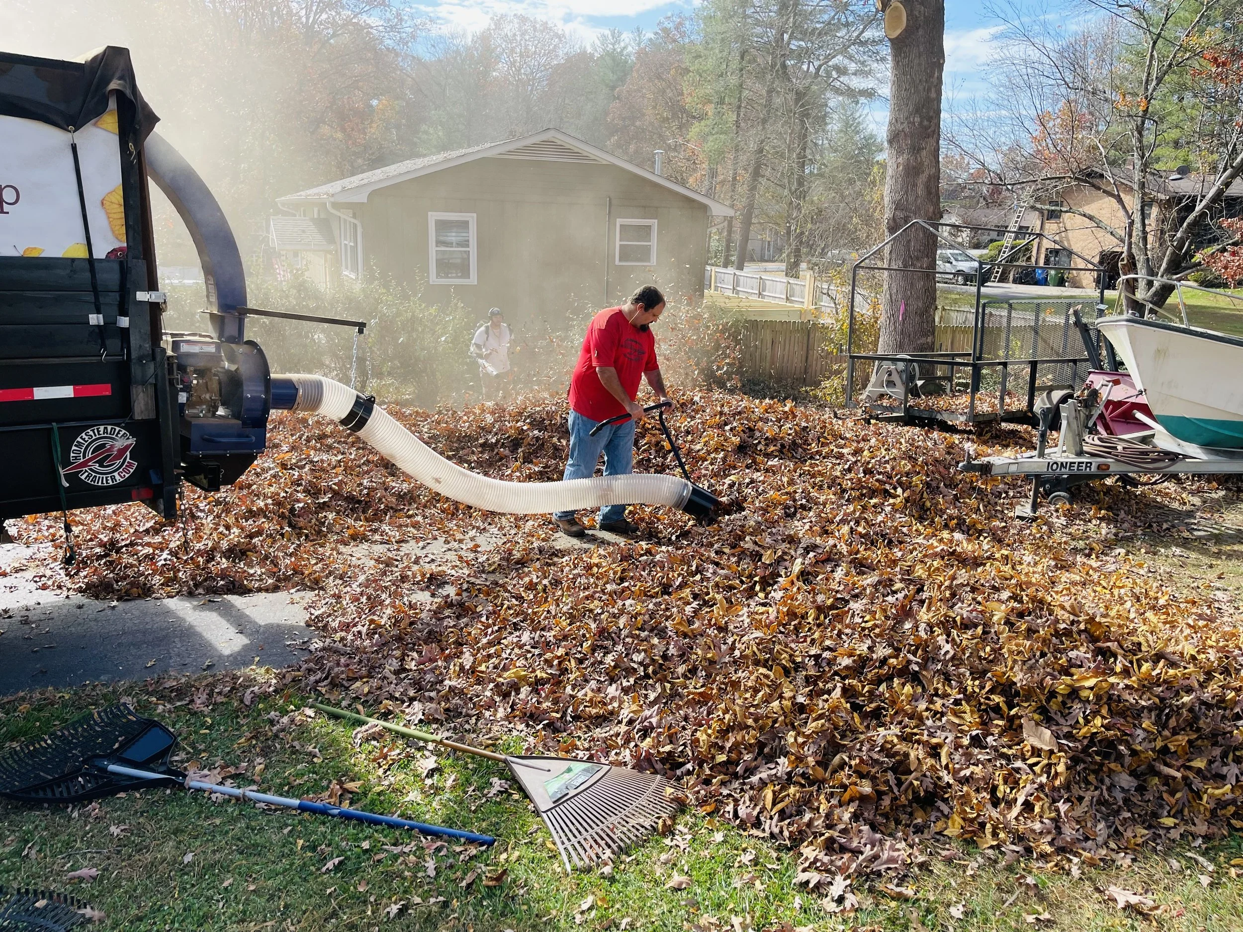 Leaf Removal in Bristow example 1