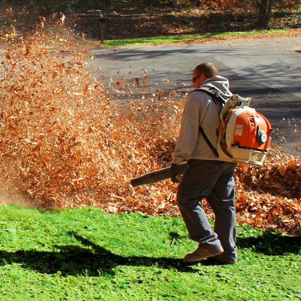 Leaf Removal in Bristow example 4