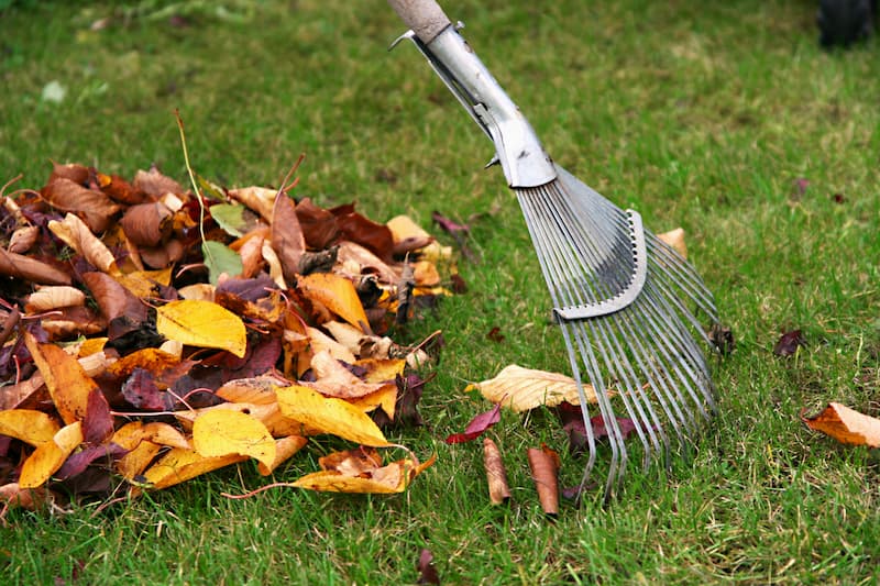 Leaf Removal in Bristow example 5