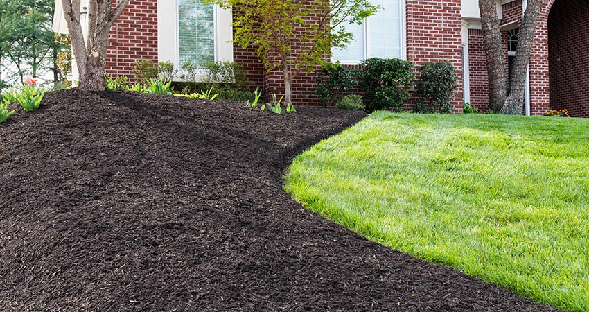 Mulch Installation in Gainesville example 2