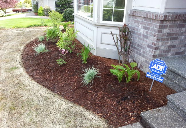 Mulch Installation in Gainesville example 3
