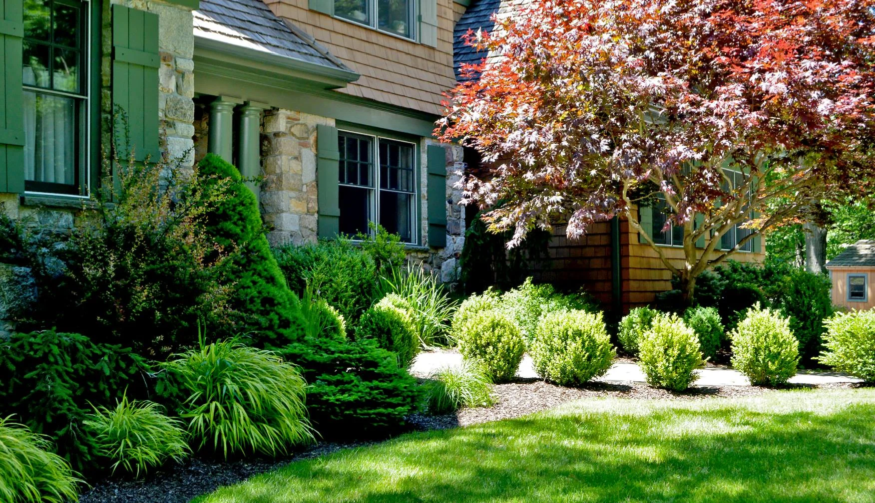Tree & Shrub Planting in Nokesville example 1