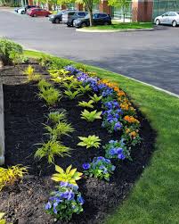 Tree & Shrub Planting in Nokesville example 7