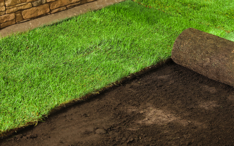 Sod Installation in Nokesville example 1