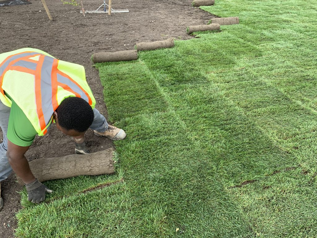 Sod Installation in Nokesville example 2