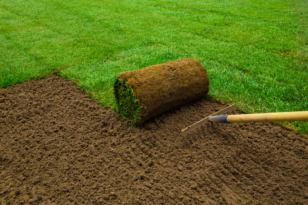 Sod Installation in Nokesville example 3
