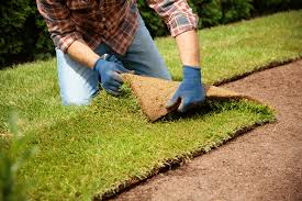Sod Installation in Nokesville example 4
