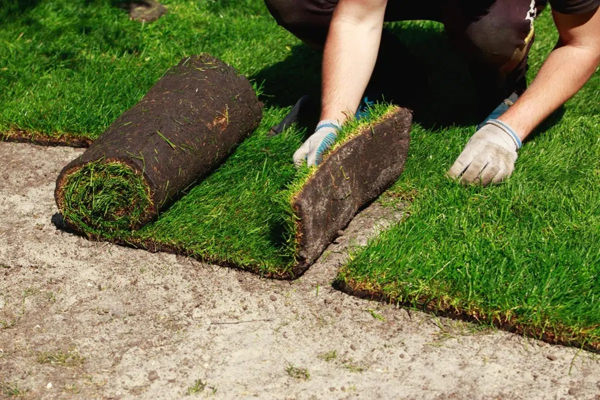Sod Installation in Nokesville example 5