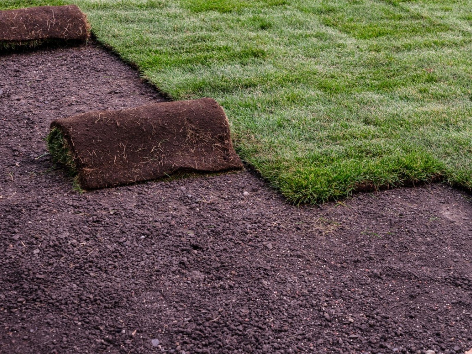 Sod Installation in Nokesville example 6